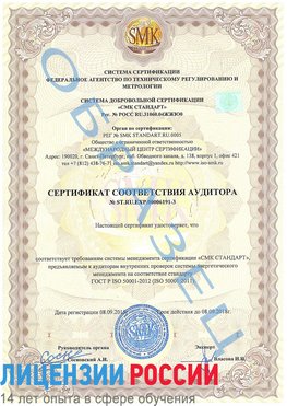 Образец сертификата соответствия аудитора №ST.RU.EXP.00006191-3 Камышин Сертификат ISO 50001